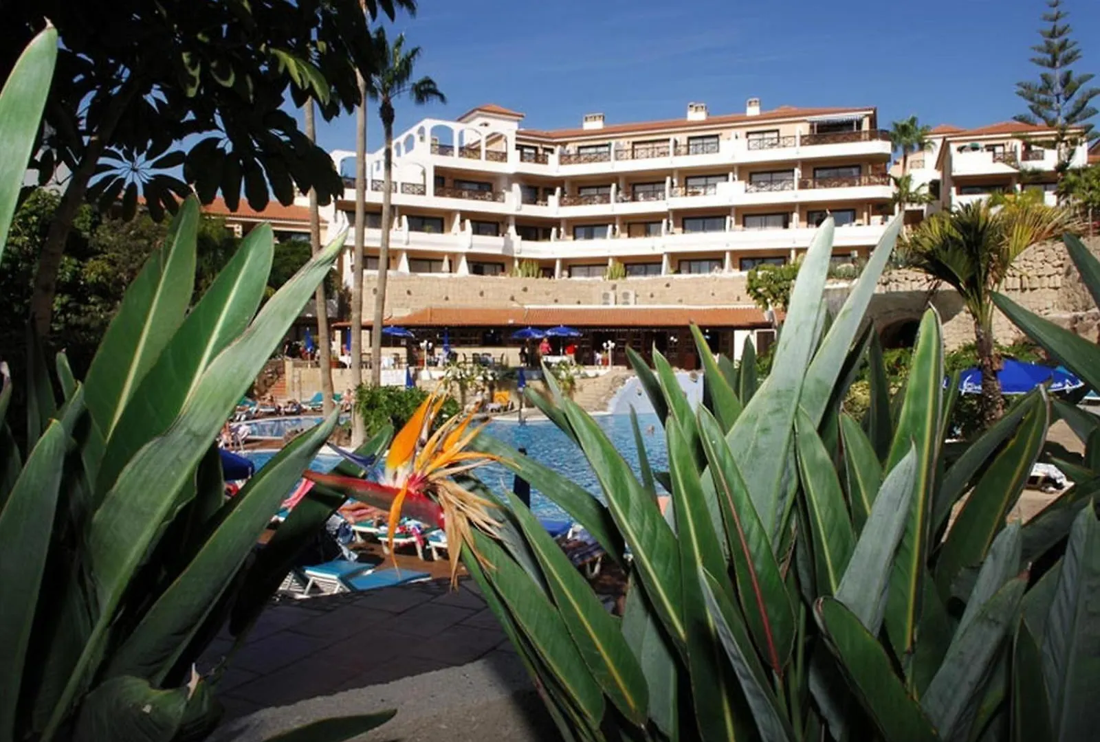 Great Apartment In Golf Del Sur San Miguel de Abona Spain